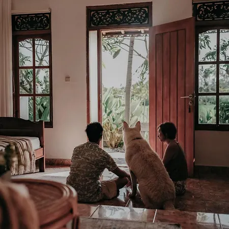 Rumi Bumi Lovina - A Home For Unhurried Days