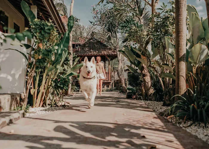 Hotel Rumi Bumi - A For Unhurried Days Lovina